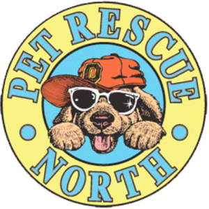 Real Dog Rescue, Inc.